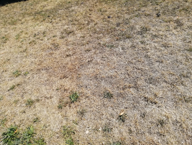 Attention: restriction voire interdiction des usages de l’eau en raison de la sécheresse