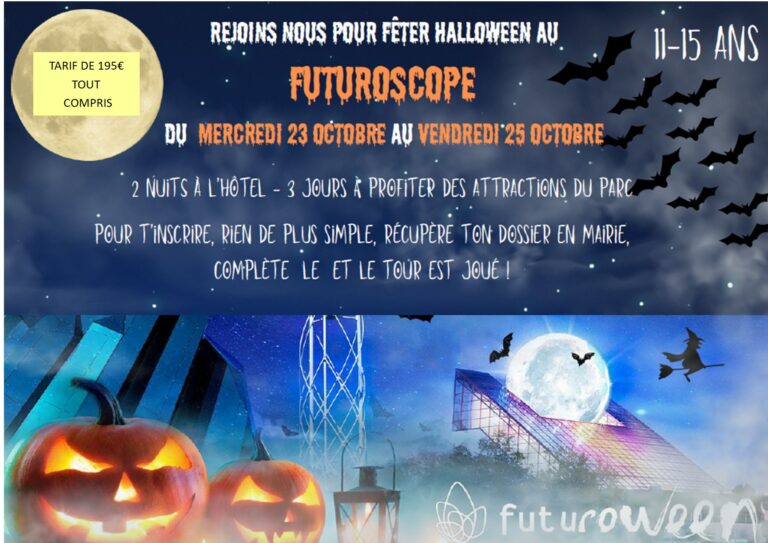 Séjour au Futuroscope organisé par la commune de Puiseux en France pour les jeunes de 11 à 15 ans