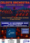 Envie de vibrer au son de la musique classique sur les plus grands thèmes du jeu vidéo : venez à l’espace Maurice Béjart ce samedi 22 novembre